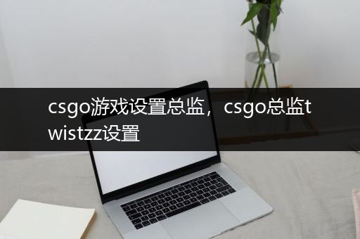 csgo游戏设置总监，csgo总监twistzz设置