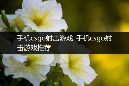 手机csgo射击游戏_手机csgo射击游戏推荐
