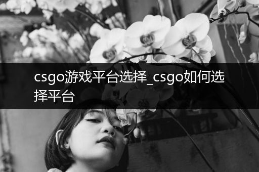 csgo游戏平台选择_csgo如何选择平台