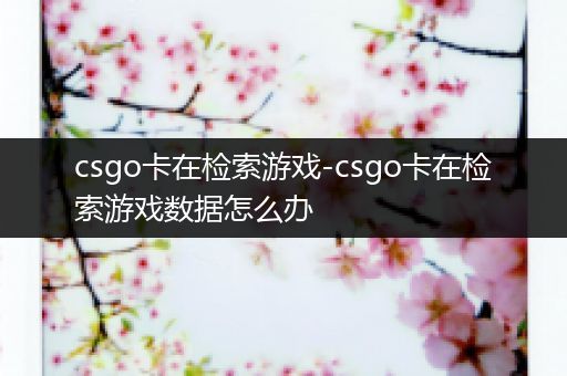 csgo卡在检索游戏-csgo卡在检索游戏数据怎么办
