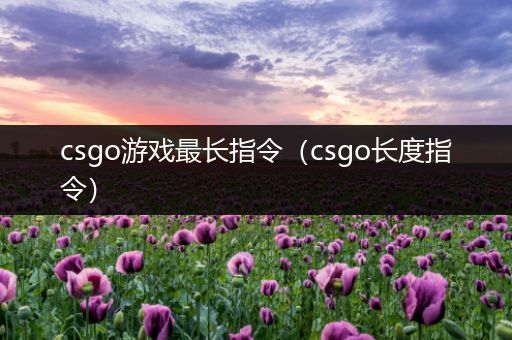 csgo游戏最长指令（csgo长度指令）