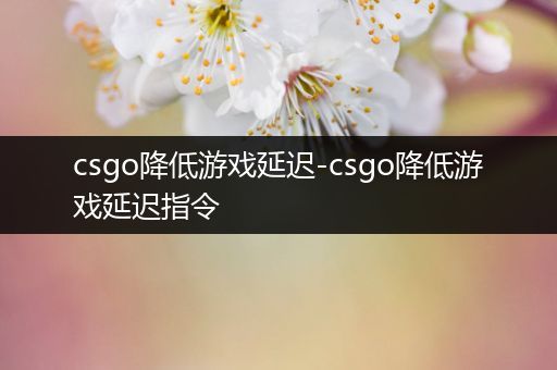 csgo降低游戏延迟-csgo降低游戏延迟指令
