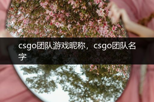 csgo团队游戏昵称，csgo团队名字