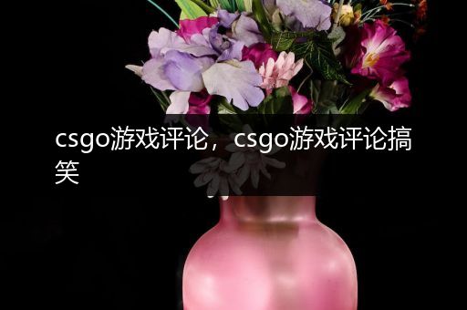 csgo游戏评论，csgo游戏评论搞笑