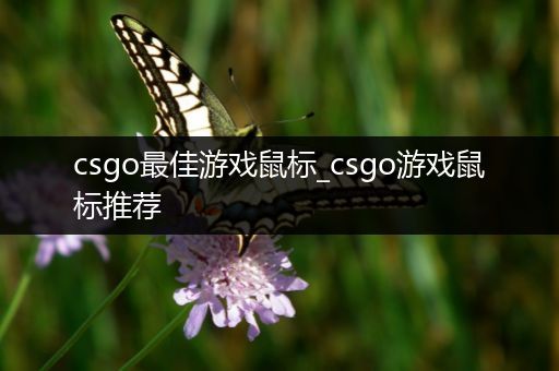 csgo最佳游戏鼠标_csgo游戏鼠标推荐