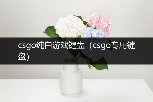 csgo纯白游戏键盘（csgo专用键盘）