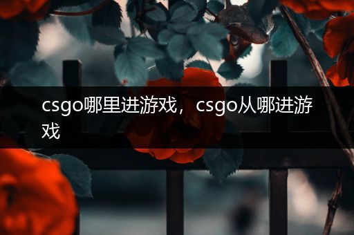 csgo哪里进游戏，csgo从哪进游戏