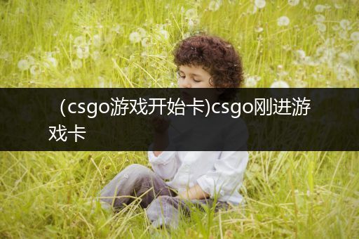 （csgo游戏开始卡)csgo刚进游戏卡