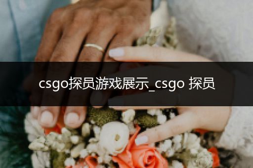 csgo探员游戏展示_csgo 探员