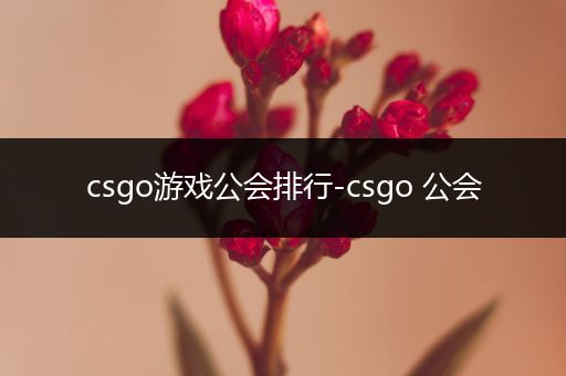 csgo游戏公会排行-csgo 公会