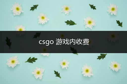 csgo 游戏内收费