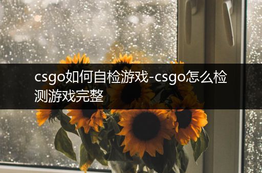 csgo如何自检游戏-csgo怎么检测游戏完整