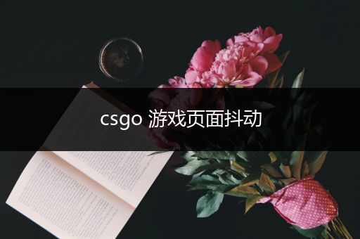 csgo 游戏页面抖动
