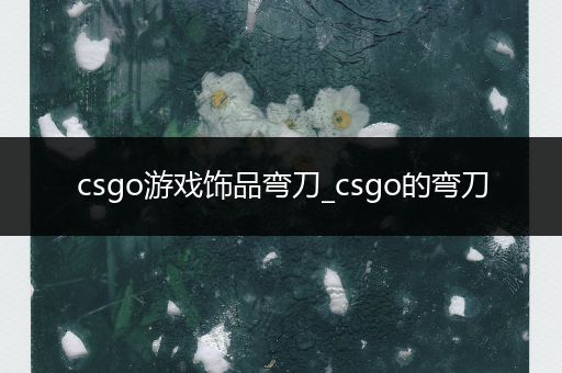 csgo游戏饰品弯刀_csgo的弯刀