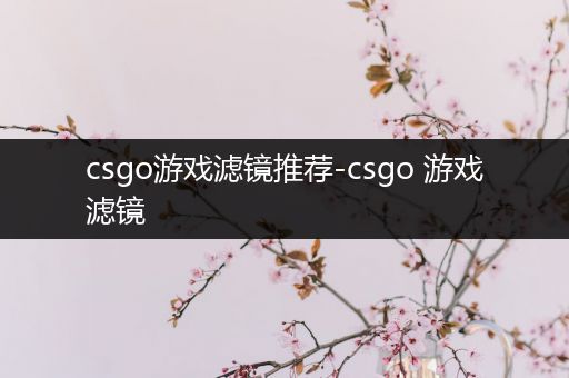 csgo游戏滤镜推荐-csgo 游戏滤镜