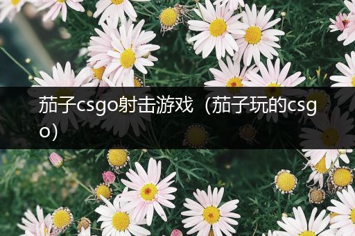 茄子csgo射击游戏（茄子玩的csgo）