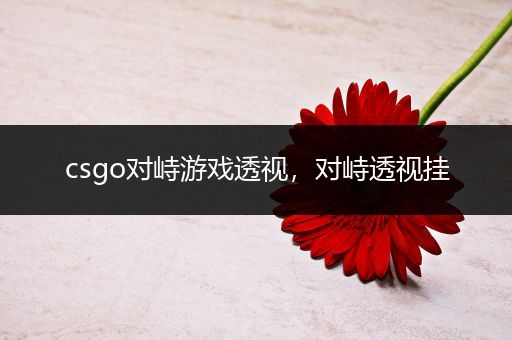 csgo对峙游戏透视，对峙透视挂