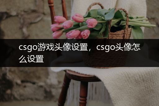 csgo游戏头像设置，csgo头像怎么设置