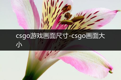 csgo游戏画面尺寸-csgo画面大小