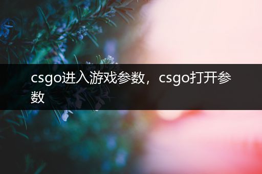 csgo进入游戏参数，csgo打开参数