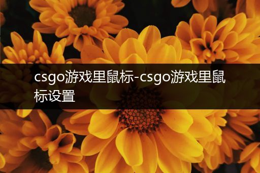 csgo游戏里鼠标-csgo游戏里鼠标设置