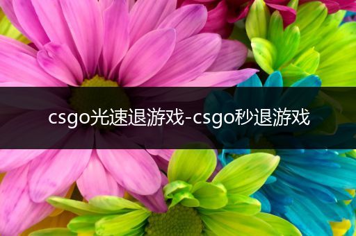 csgo光速退游戏-csgo秒退游戏
