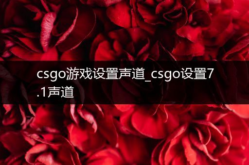 csgo游戏设置声道_csgo设置7.1声道