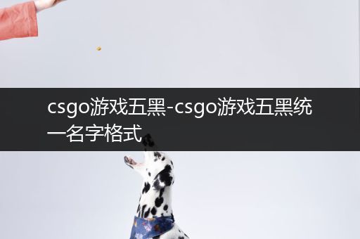 csgo游戏五黑-csgo游戏五黑统一名字格式