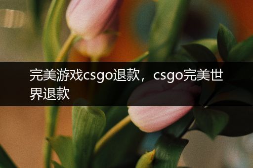 完美游戏csgo退款，csgo完美世界退款
