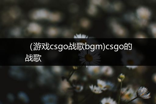 （游戏csgo战歌bgm)csgo的战歌