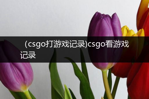 （csgo打游戏记录)csgo看游戏记录