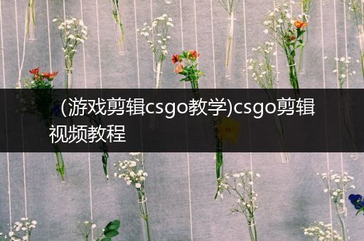 （游戏剪辑csgo教学)csgo剪辑视频教程