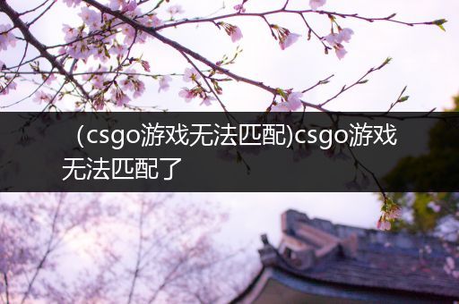 （csgo游戏无法匹配)csgo游戏无法匹配了