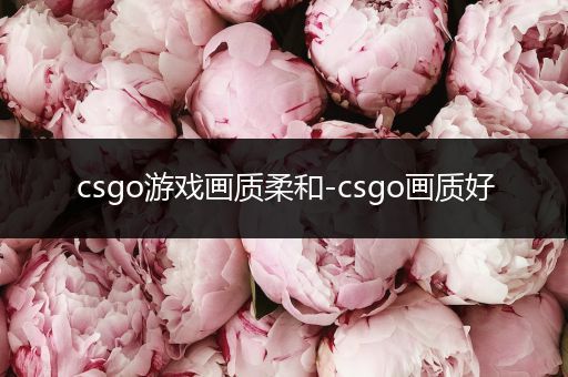 csgo游戏画质柔和-csgo画质好