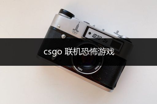 csgo 联机恐怖游戏