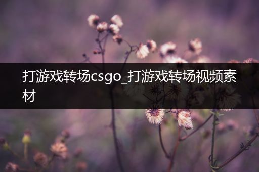 打游戏转场csgo_打游戏转场视频素材