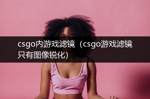 csgo内游戏滤镜（csgo游戏滤镜只有图像锐化）