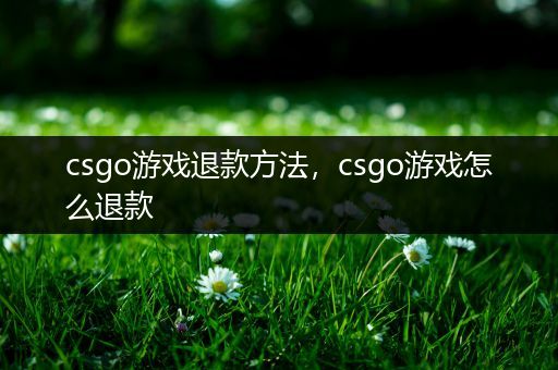 csgo游戏退款方法，csgo游戏怎么退款