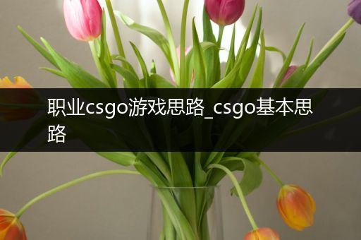 职业csgo游戏思路_csgo基本思路