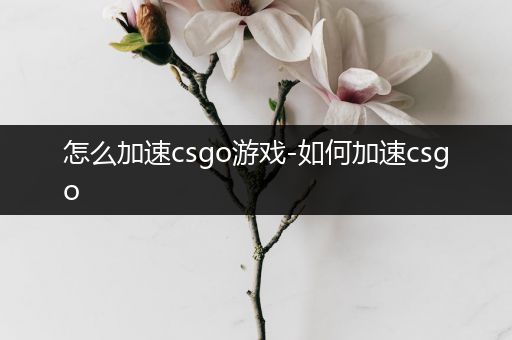 怎么加速csgo游戏-如何加速csgo
