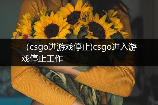 （csgo进游戏停止)csgo进入游戏停止工作