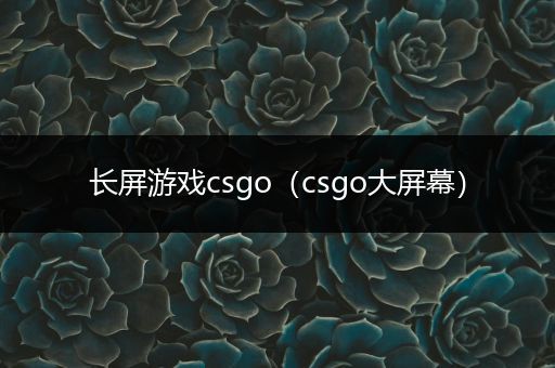 长屏游戏csgo（csgo大屏幕）