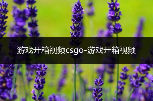 游戏开箱视频csgo-游戏开箱视频