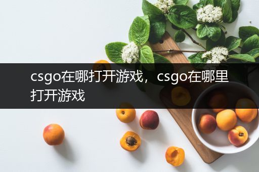 csgo在哪打开游戏，csgo在哪里打开游戏