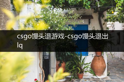 csgo馒头退游戏-csgo馒头退出lq