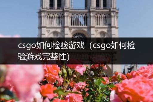 csgo如何检验游戏（csgo如何检验游戏完整性）