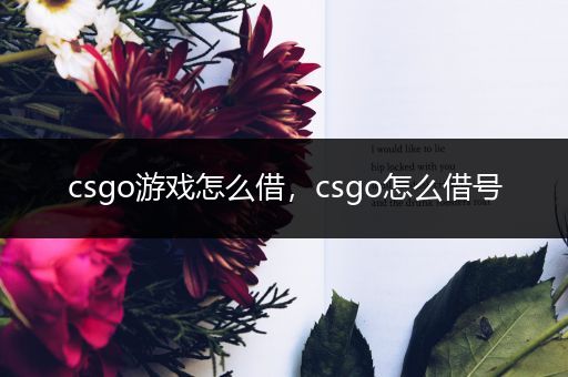 csgo游戏怎么借，csgo怎么借号
