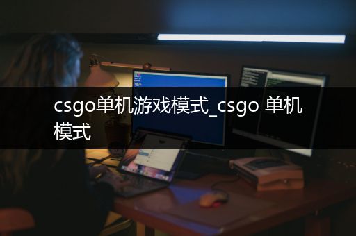 csgo单机游戏模式_csgo 单机模式