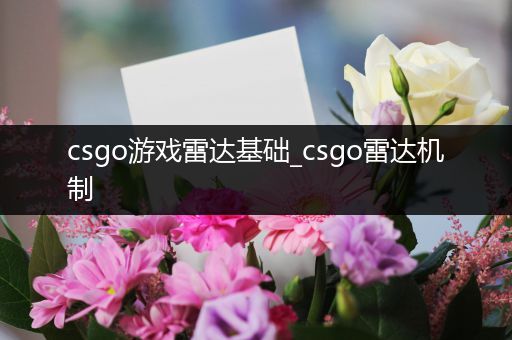 csgo游戏雷达基础_csgo雷达机制