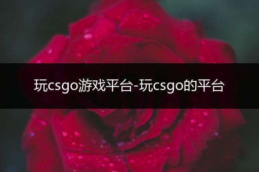 玩csgo游戏平台-玩csgo的平台